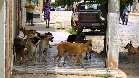 Fodendo Buceta Da Cadela E Gozando Muito